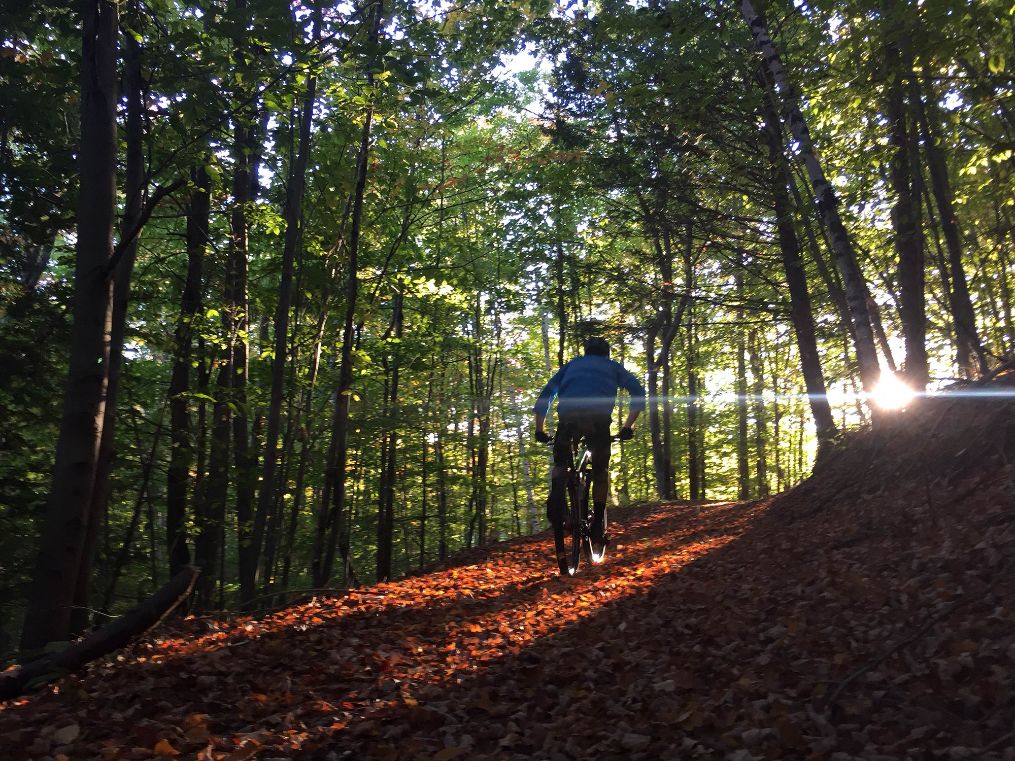 Man on a mountain bike riding into the sun, in the woods