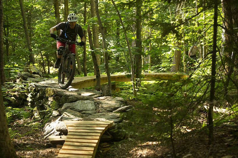 A mountain biker on a bridge in the woods