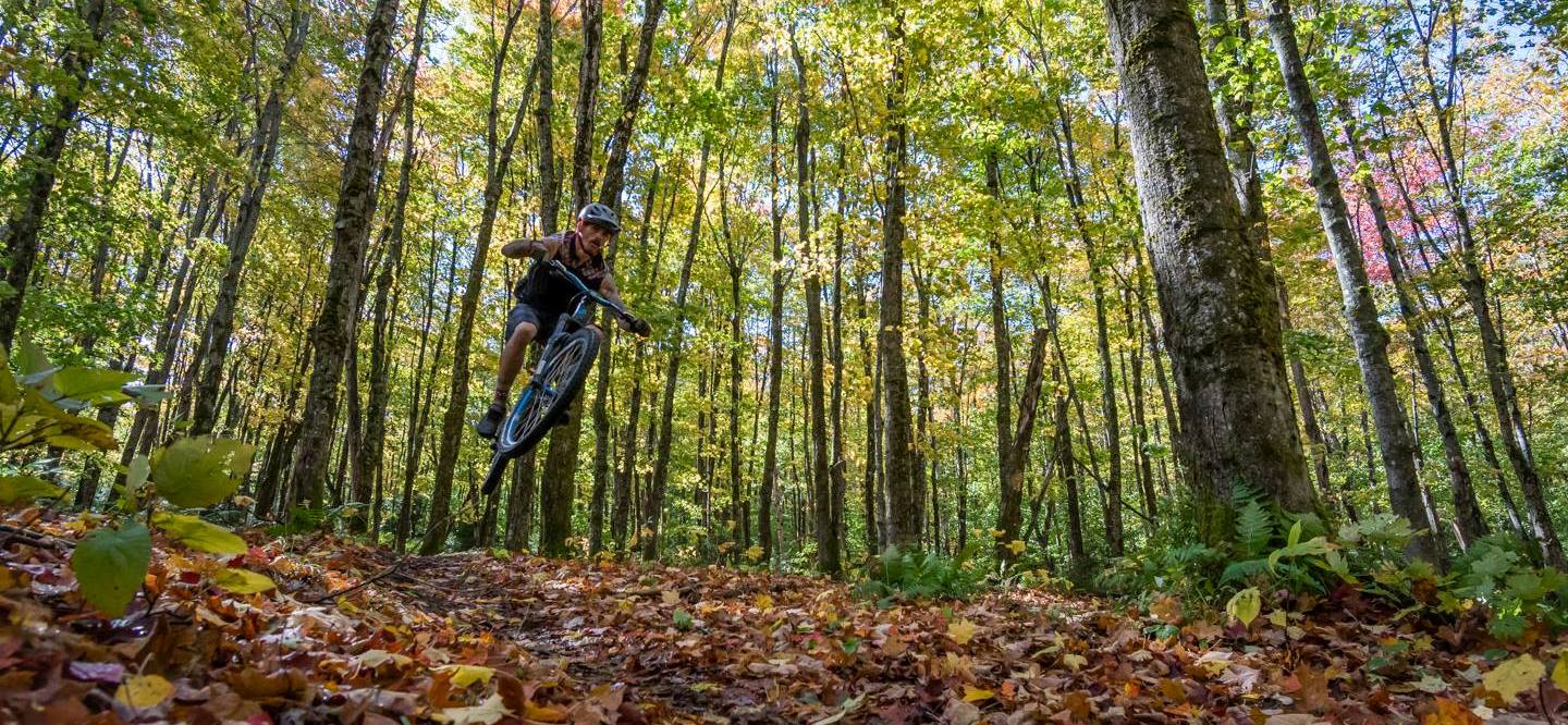 A man jumps on a mountain bike in the woods.