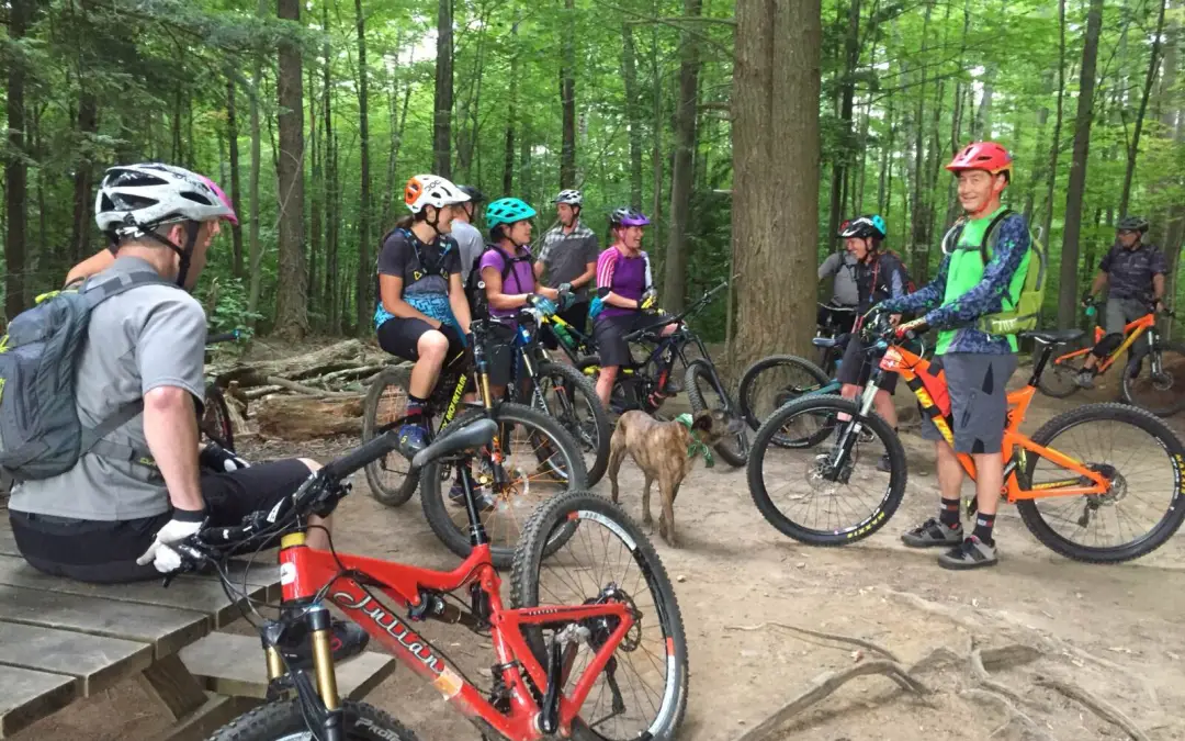 Mountain bikers chatting on a forest path