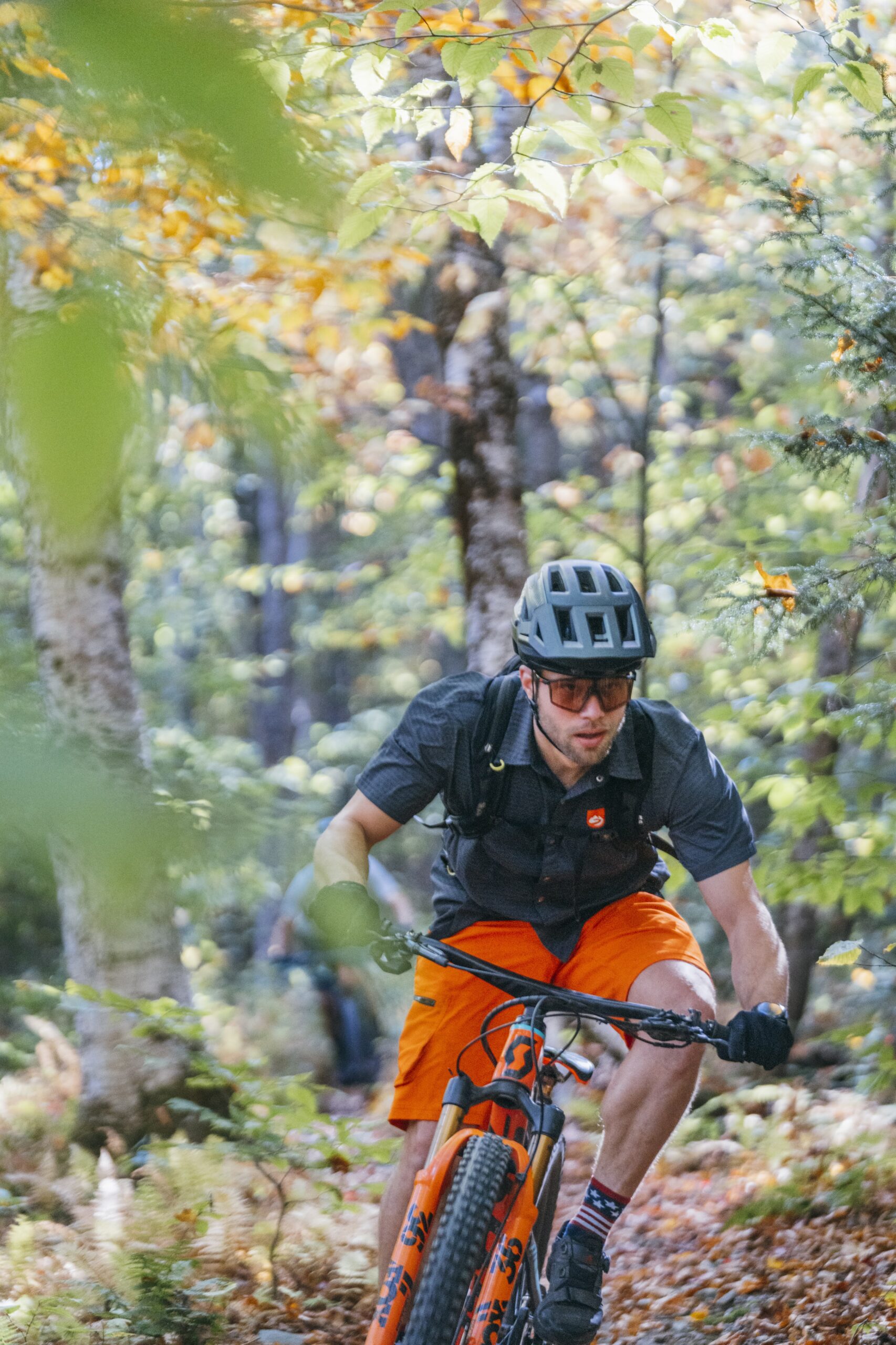 In Case You Missed it: Annual Meeting Presentation